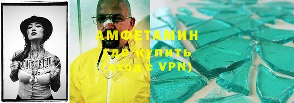 индика Дмитриев