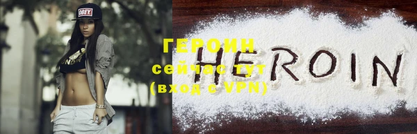 индика Дмитриев