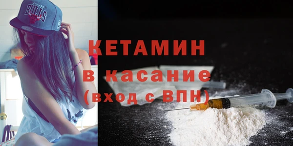 индика Дмитриев