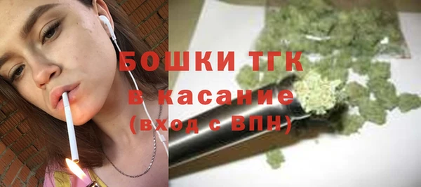индика Дмитриев