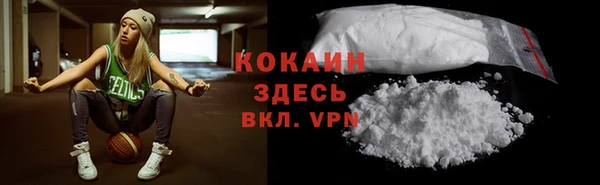 дживик Дмитров