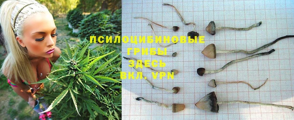 индика Дмитриев