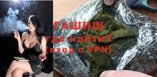 индика Дмитриев
