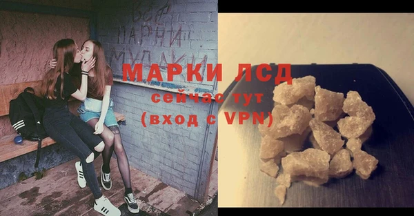 индика Дмитриев