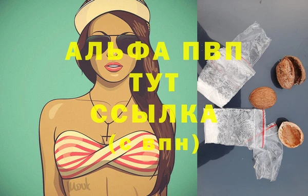 ГАЛЛЮЦИНОГЕННЫЕ ГРИБЫ Чегем