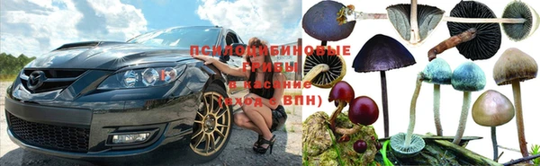 индика Дмитриев