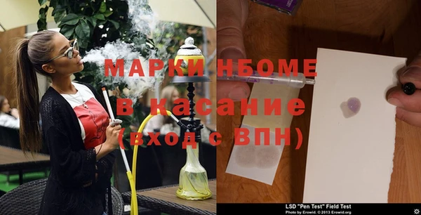 индика Дмитриев