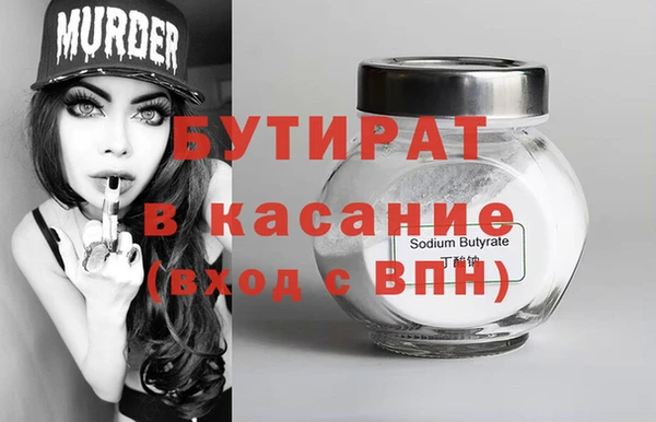 индика Дмитриев