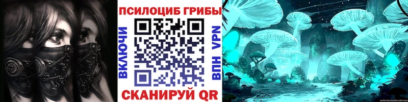 площадка клад  Нея  Галлюциногенные грибы Cubensis 