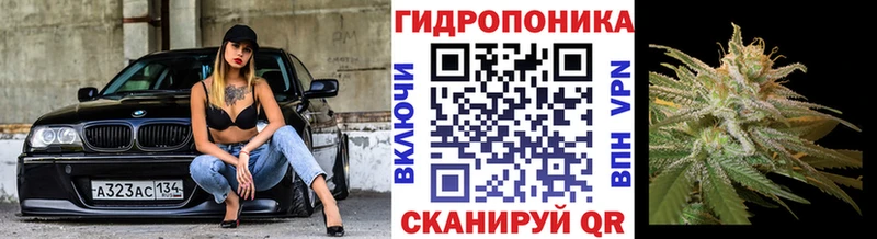 Канабис тримм  кракен как зайти  Нея 